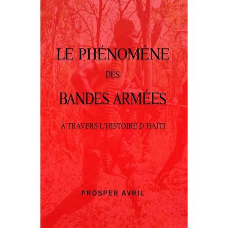 Le Phenomene Des Bandes Armees...